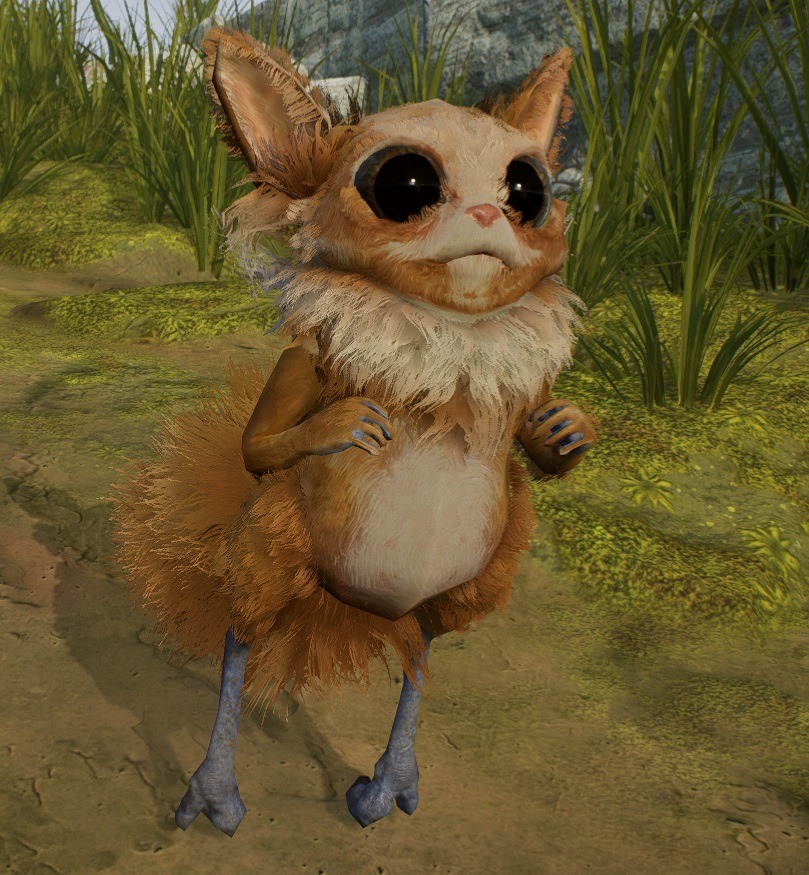 Help Llama get life-changing surgery